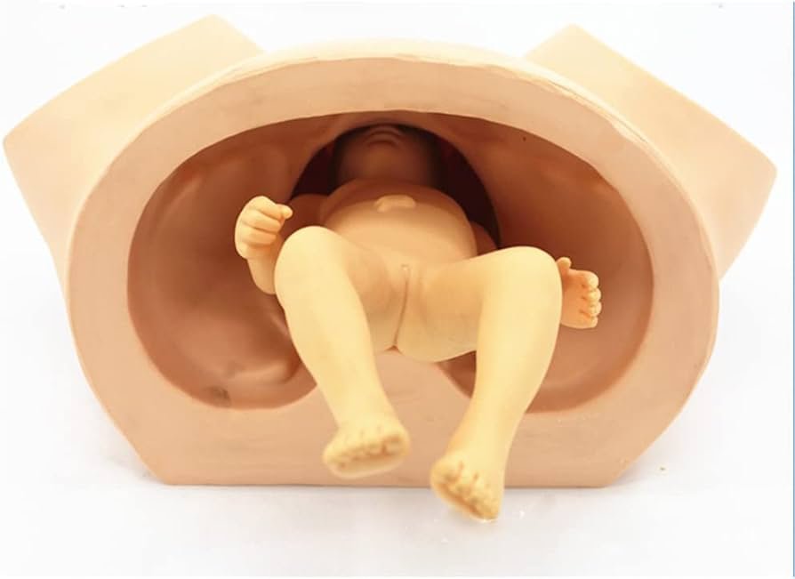 Advanced midwifery training simulator with flexible fetal joints Kenya